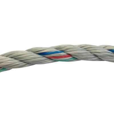 スーパーPPダンラインロープ