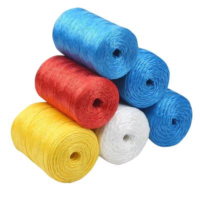 PPベーラートワイン トマトトワイン