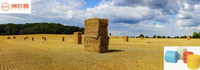 ポリプロピレン結束紐