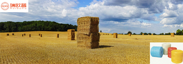 高品質のベーラーより糸 PP 30# より糸 High Quality Baler Twine PP 30# Twine