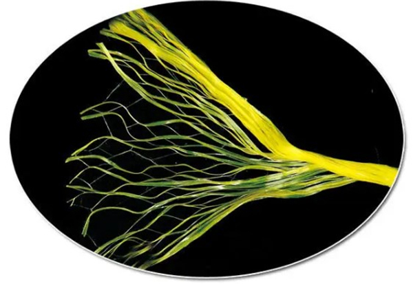 高品質のベーラーより糸 PP 30# より糸 High Quality Baler Twine PP 30# Twine